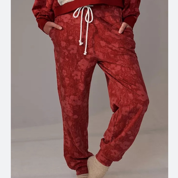 Anthropologie Saturday/Sunday Flora Printed Joggers in Wine - Picture 1 of 7